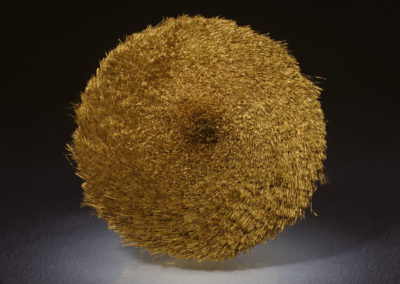 Brooch 2007 “The Golden Fleece” 