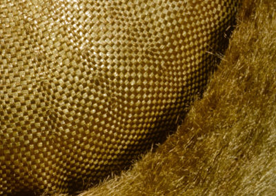 The Golden Fleece. Headpiece. Detail 2
